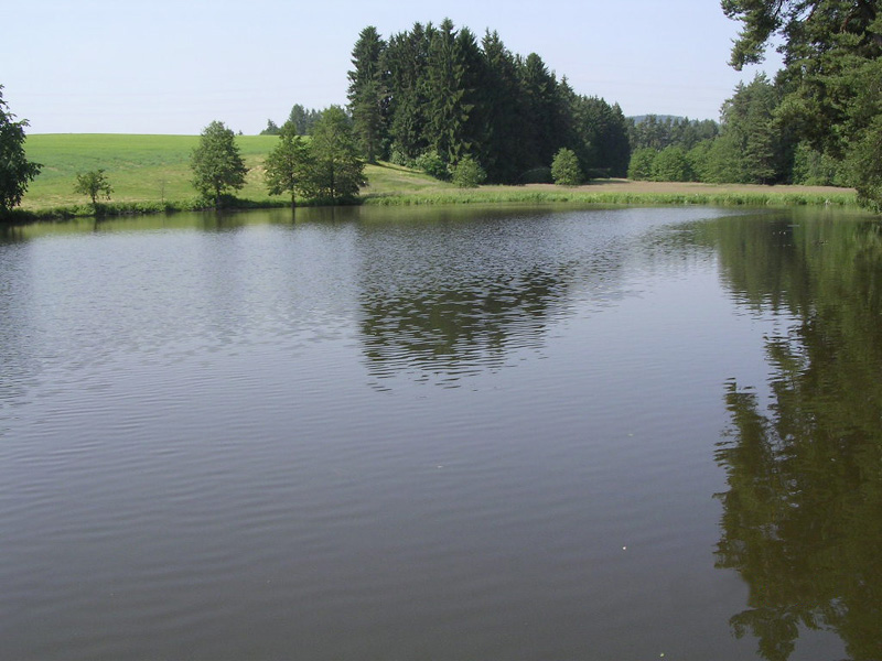 snímek Rybník Ředkovec